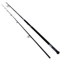 Surf Spinning Rod X396