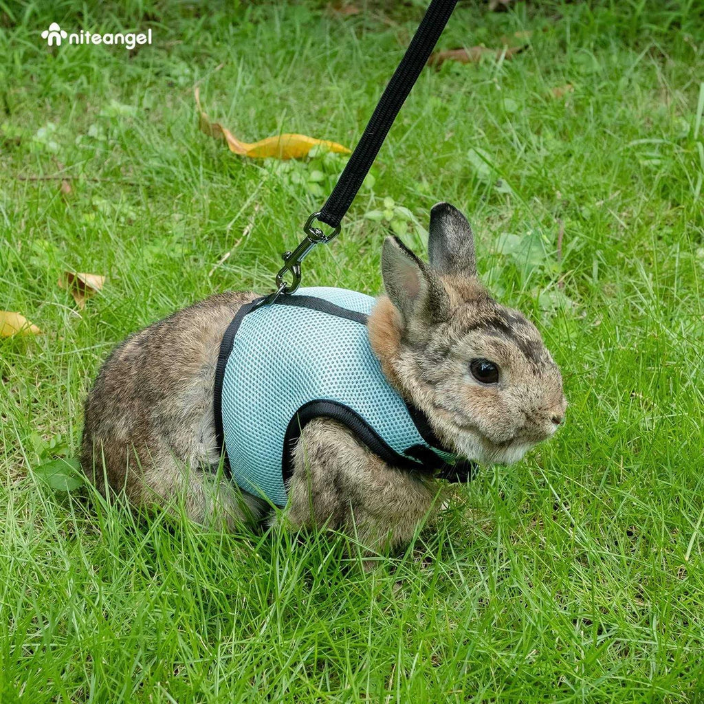 Adjustable Soft Harness with Elastic Leash for Rabbits M594704