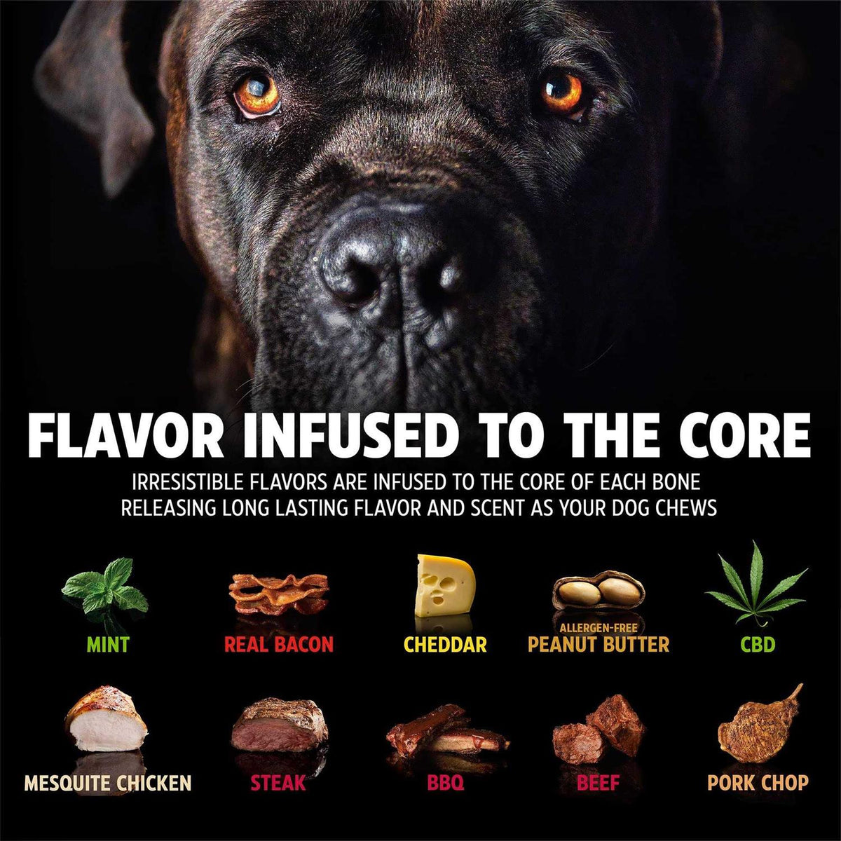 BarkBone Stick H141987