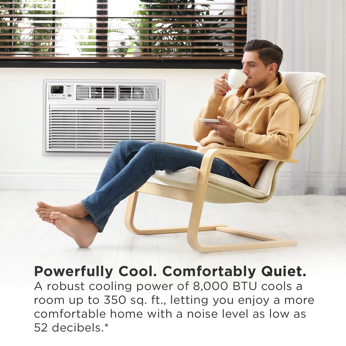8,000 BTU Through-The-Wall Air Conditioner G247131
