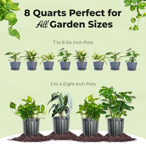 Organic Aroid Potting Mix 8qt E761269