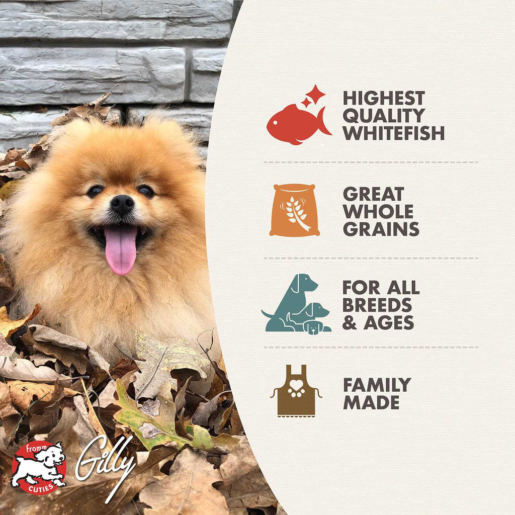 Dog Food D6935