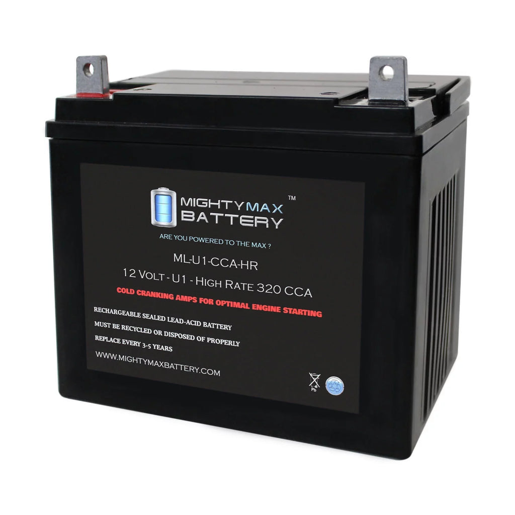 12V 320CCA Battery B3912