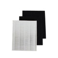HEPA and Carbon Replacement Filter Pack F434006