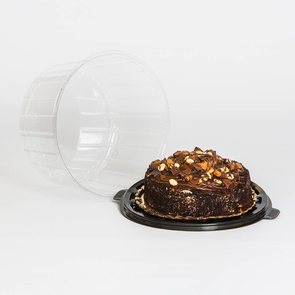 Clear Double Layer Cake Container with Dome Lid U4004