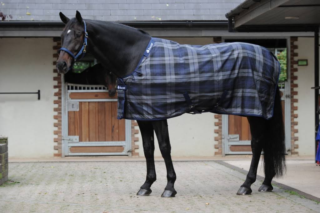 Stable Medium Tartan L8265