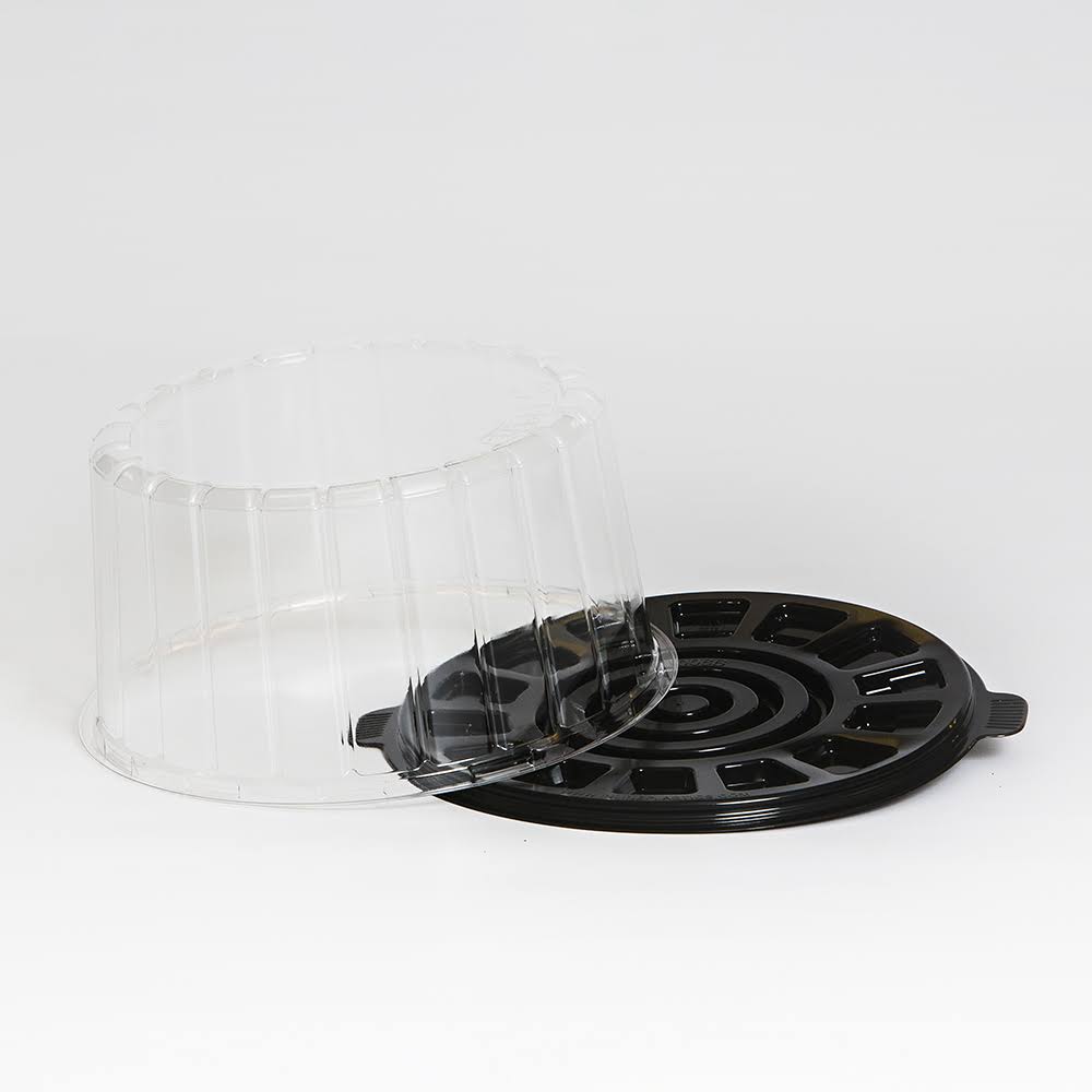 Clear Double Layer Cake Container with Dome Lid U4004