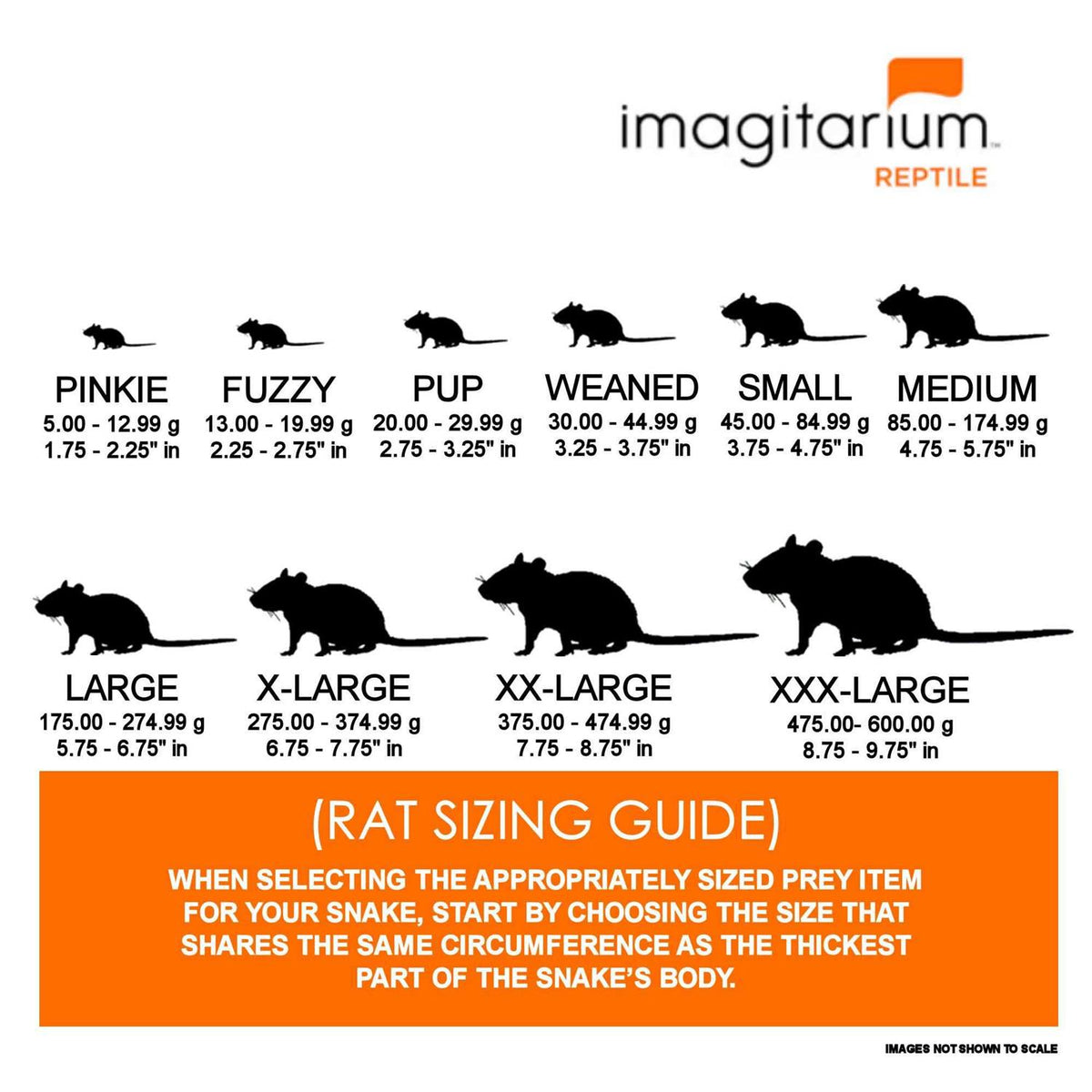 Small Pet Rat V780