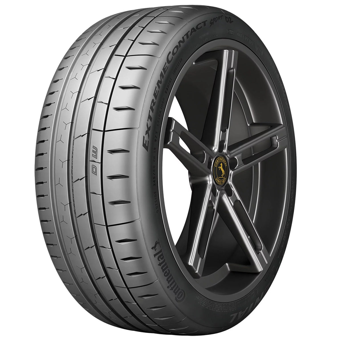Summer 285/40ZR17 100W Passenger Tire R739