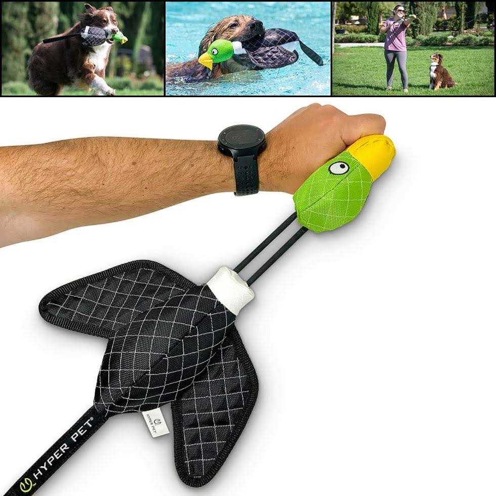 Flying Duck Dog Toy O431910