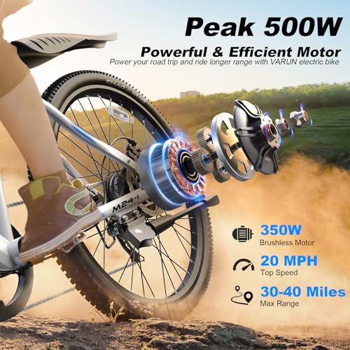 Electric Bike 350W 36V Removable Battery 24'' Mountain Bike H116911