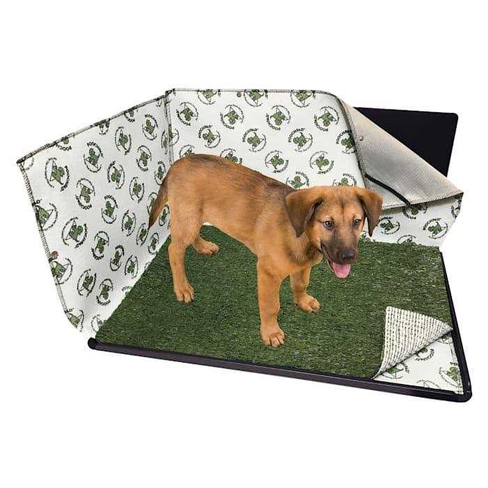 Indoor Dog Potty T203718