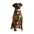 Dog Harness S78366