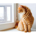 Aluminum Sash Pet Door I297