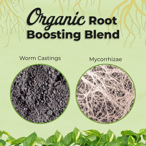 Organic Aroid Potting Mix 8qt E761269
