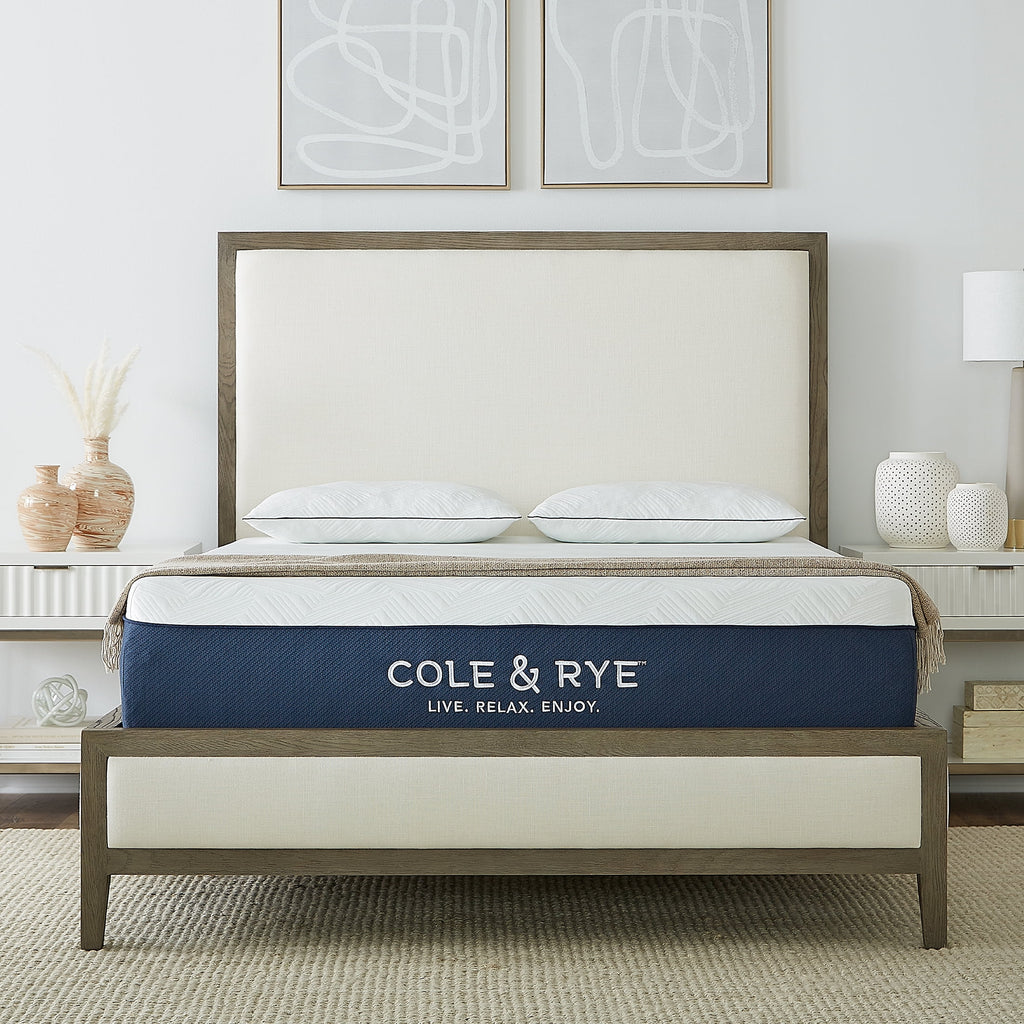 Queen Medium Firm Gel Memory Foam Mattress H690794