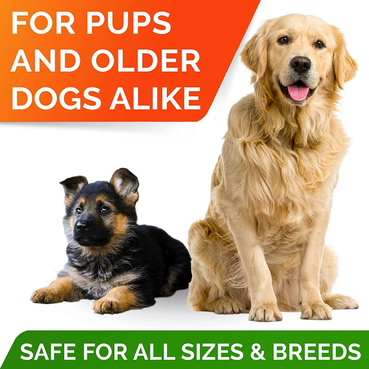 Fish Oil Omega 3 Treats for Dogs J852