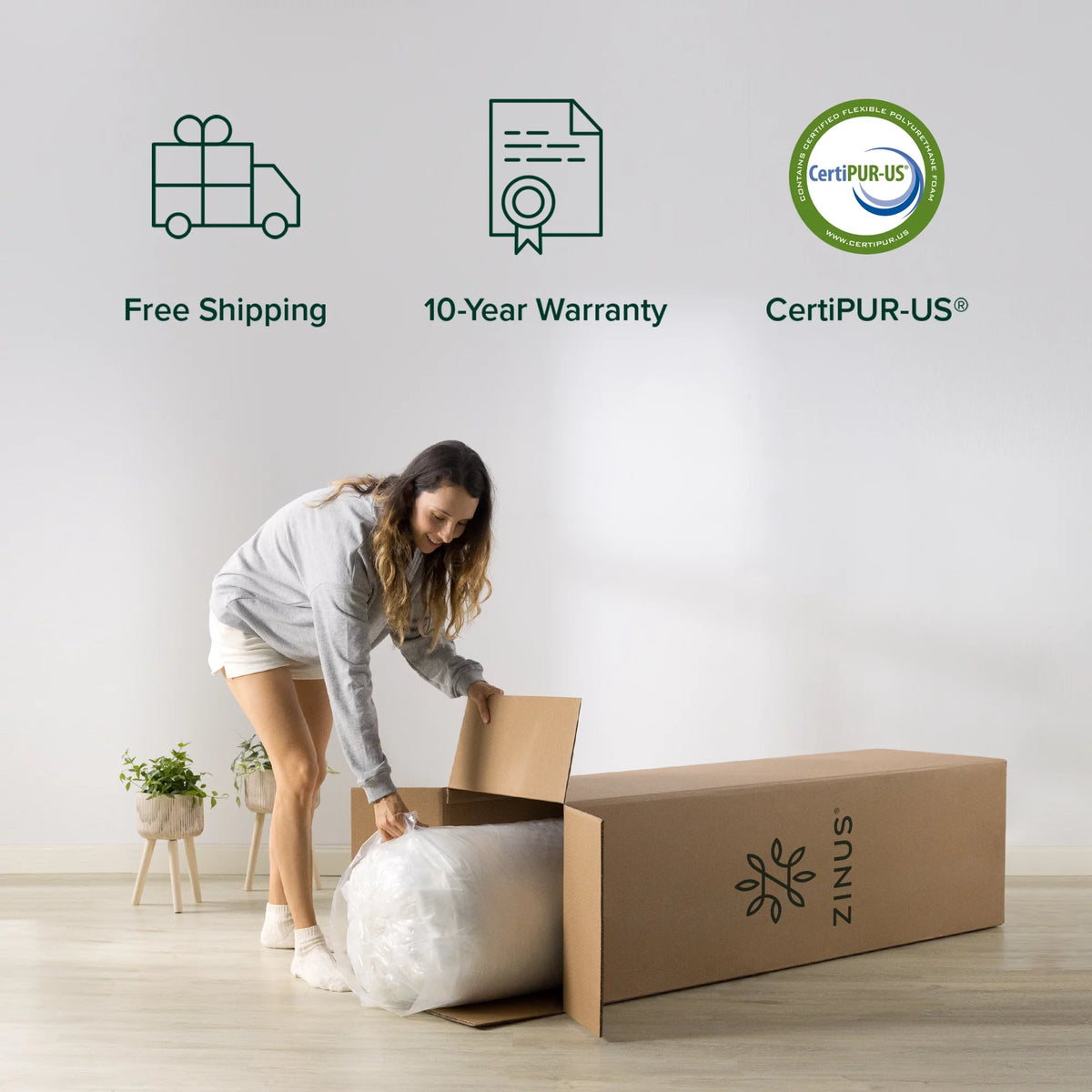 Queen Memory Foam Mattress F875334