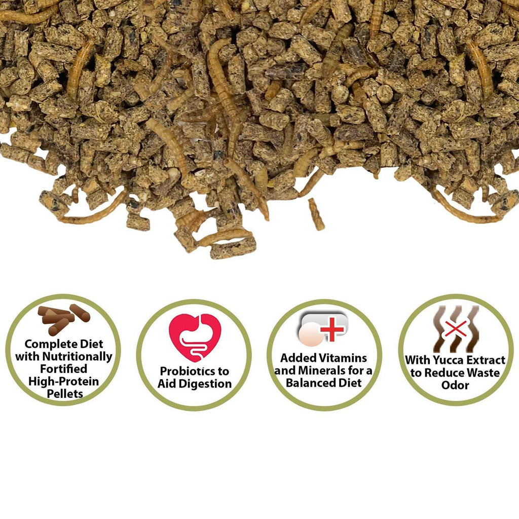 Complete Hedgehog Food A70119