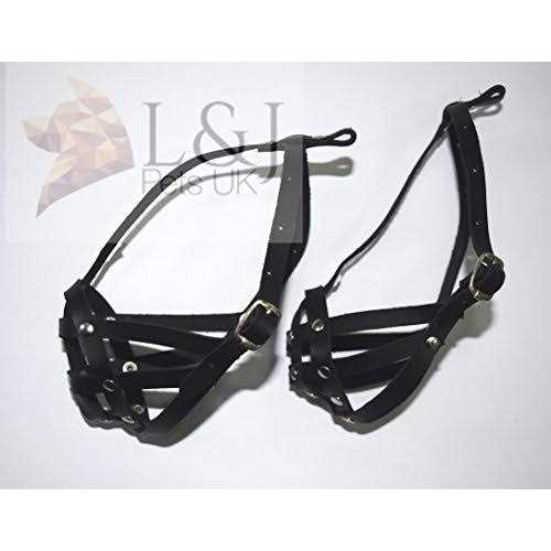 Leather Dog Muzzle R237218