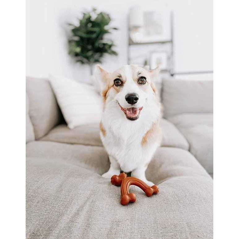 Power Chew Dog Toy R4284