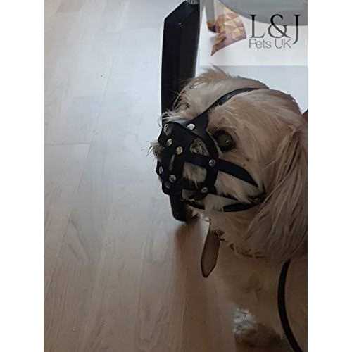 Leather Dog Muzzle R237218