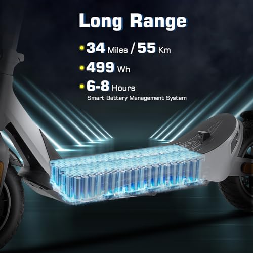 Folding Electric Scooter with 850W Motor F28185