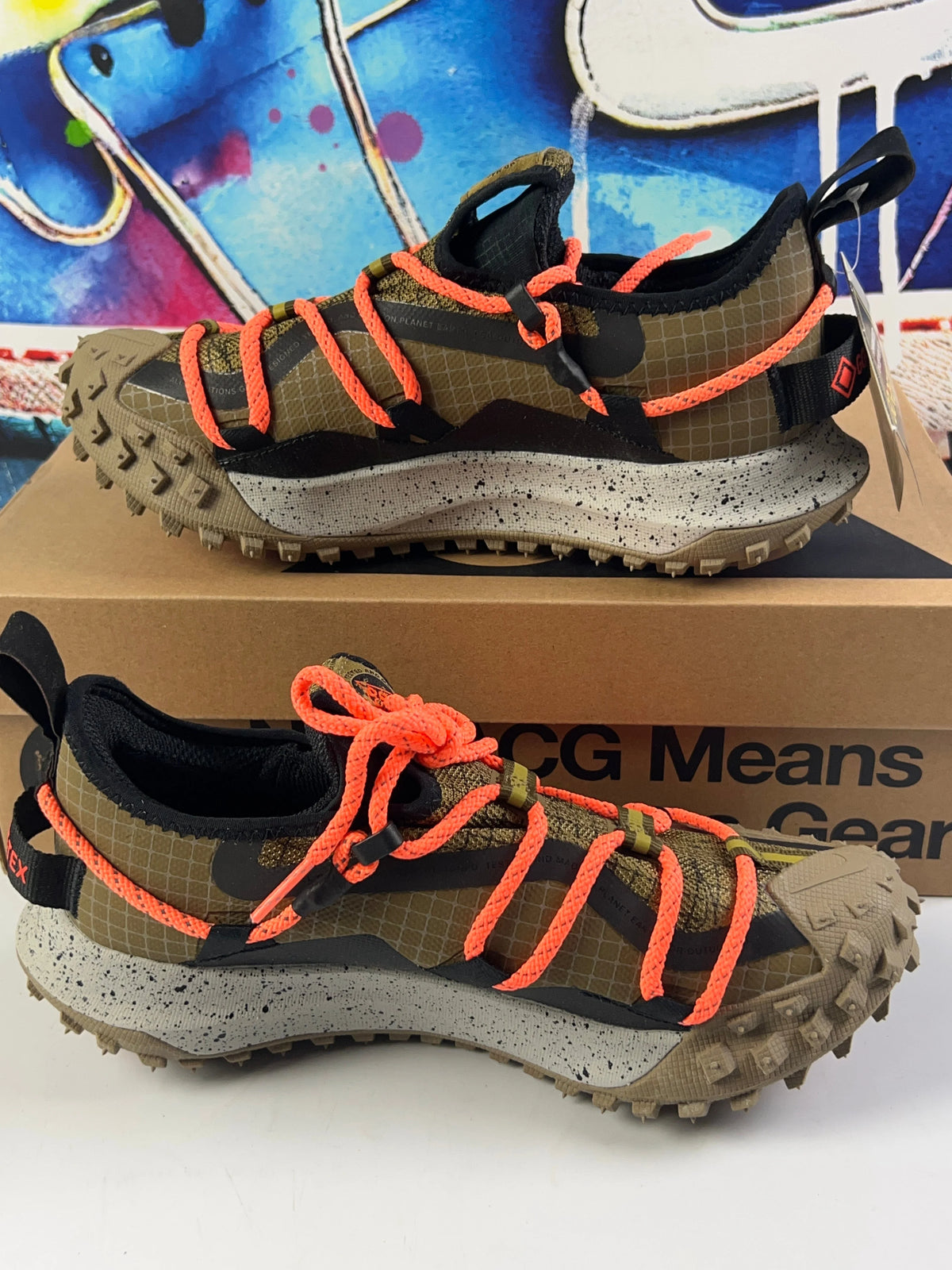 Low Gore-Tex Hazel Rush Brown Shoes T538281