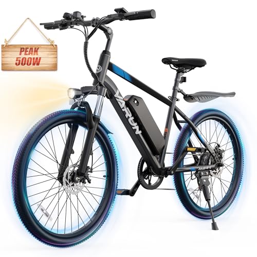 Electric Bike 350W 36V Removable Battery 24'' Mountain Bike H116911