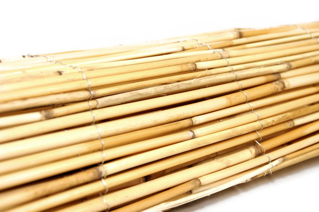 Natural Reed Fence Panel 4-Pack S91600