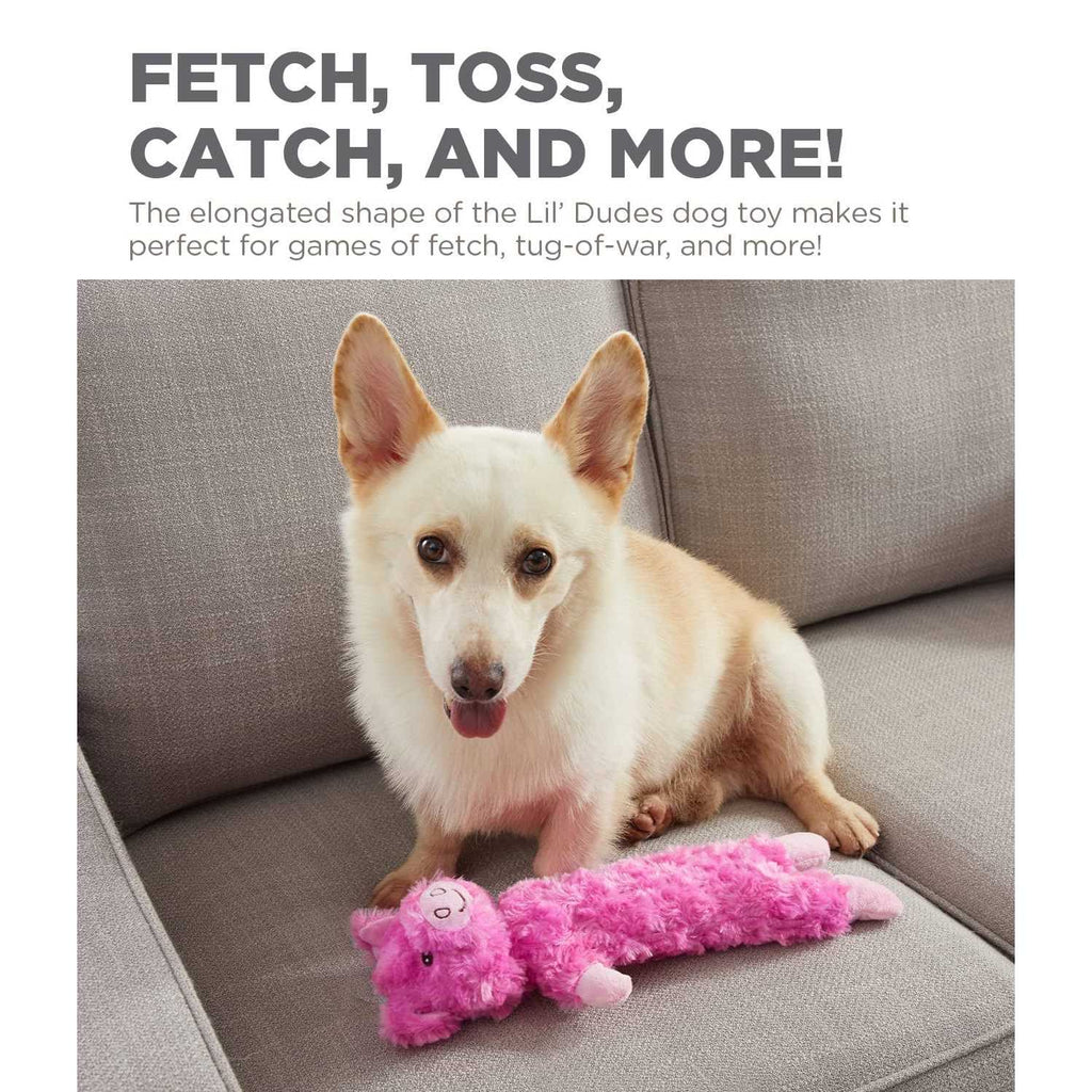 Pig Dog Toy R60952
