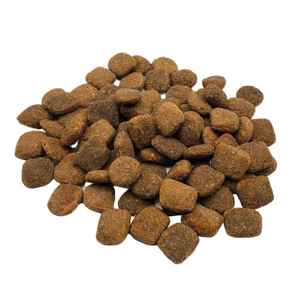 Chicken & Turkey Dry Dog Food Z733270