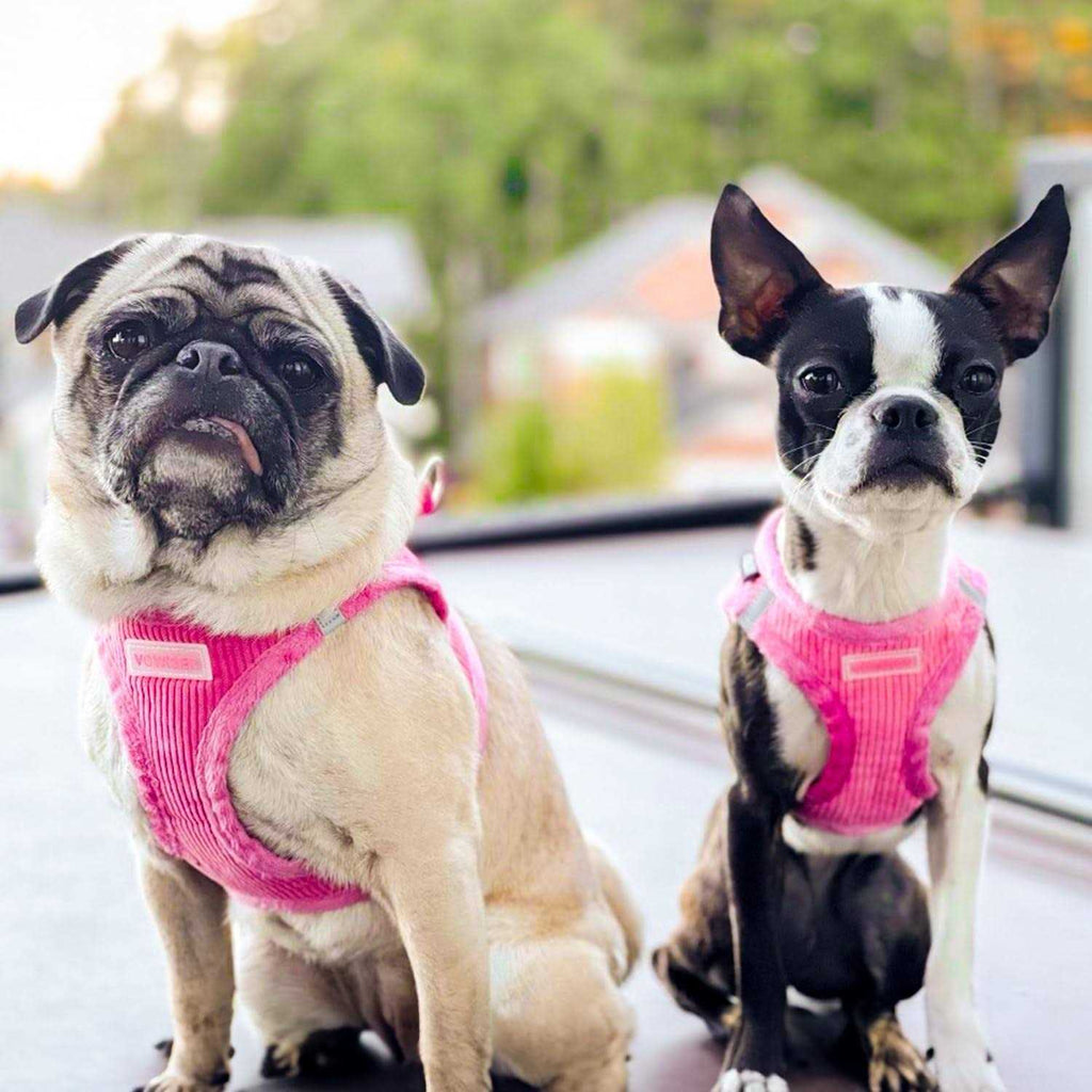 Step-In Plush Dog Harness R185430