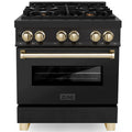 30 4.0 cu. ft. Dual Fuel Range Black Stainless Steel G61027