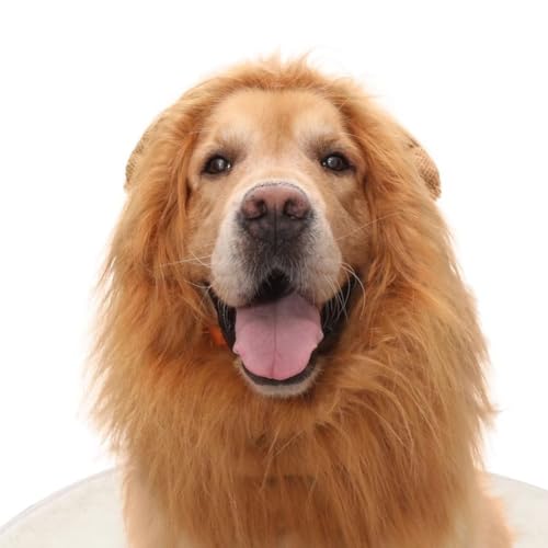 Brown Dog Wig with Ears G625914