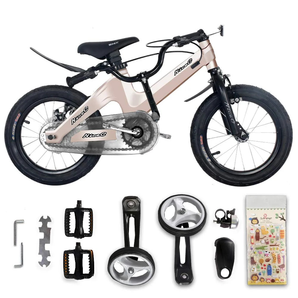 12 In. Kids Bicycle P420