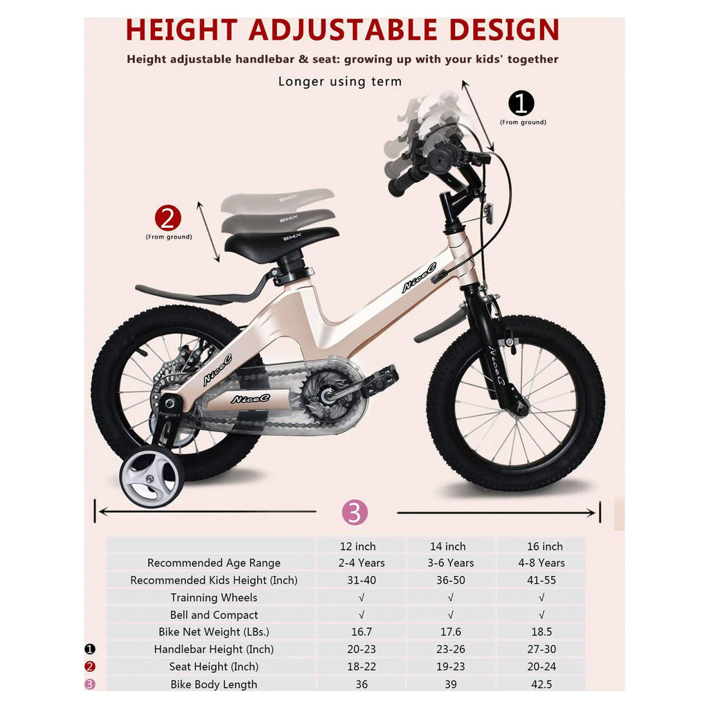 12 In. Kids Bicycle P420