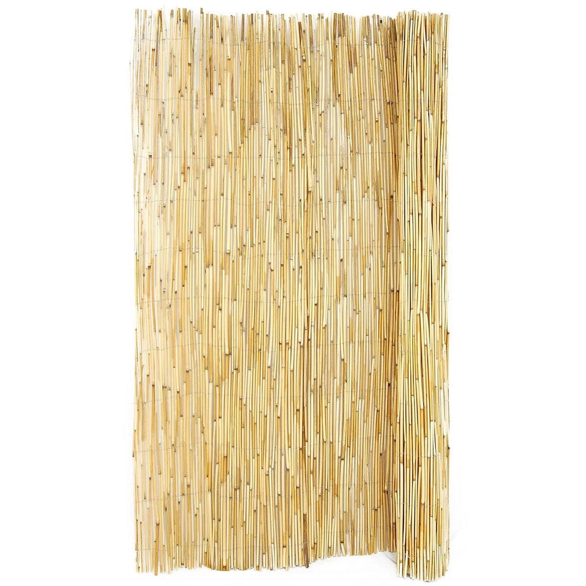 Natural Reed Fence Panel 4-Pack S91600