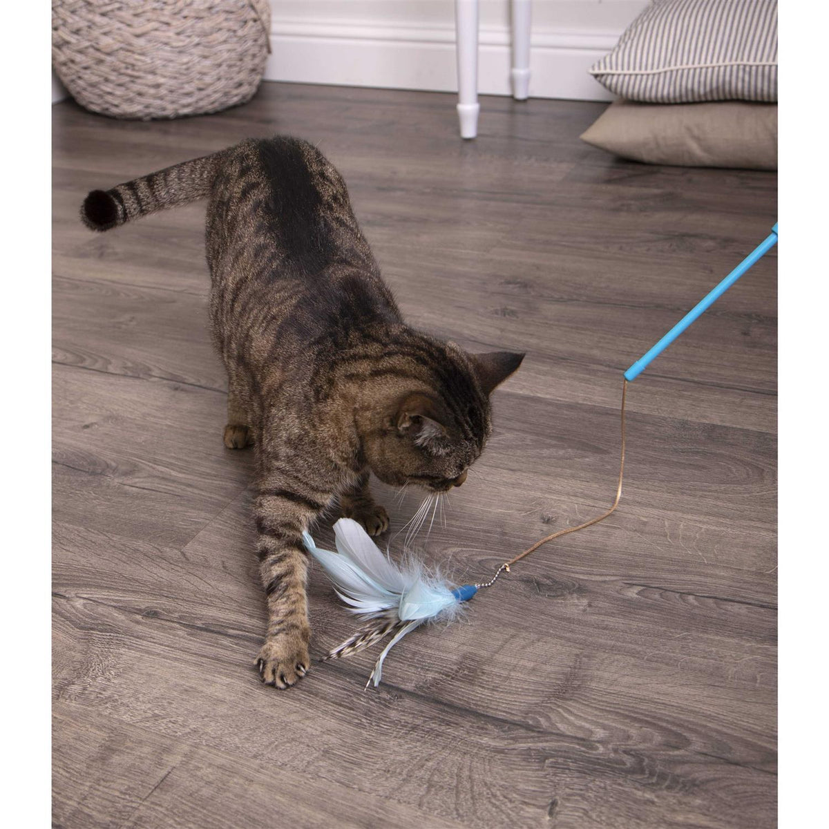 Cat Toy I886