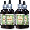 Alcohol-Free Liquid Extract 4x120 ml L153188