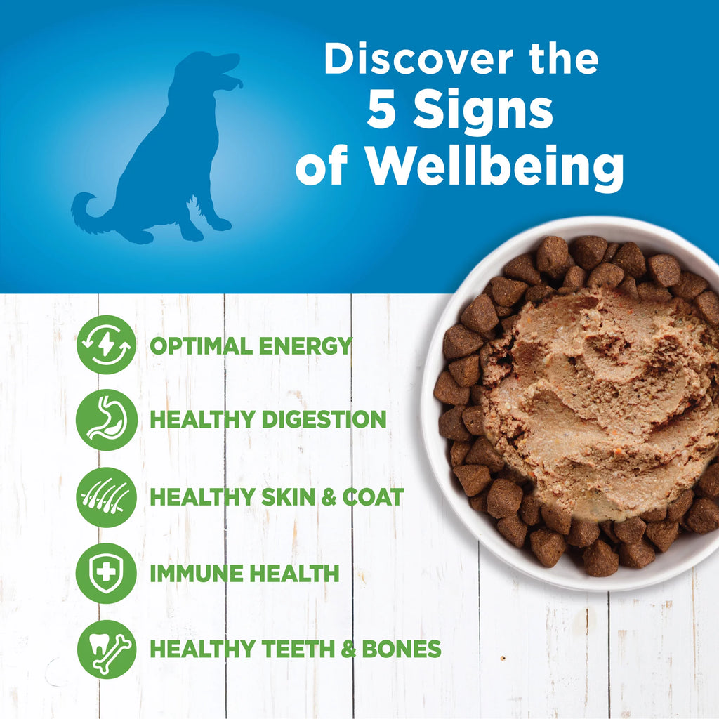 Natural Limited Ingredient Lamb & Oatmeal Wet Dog Food 12.5-Ounce Can Pack of 12 V667