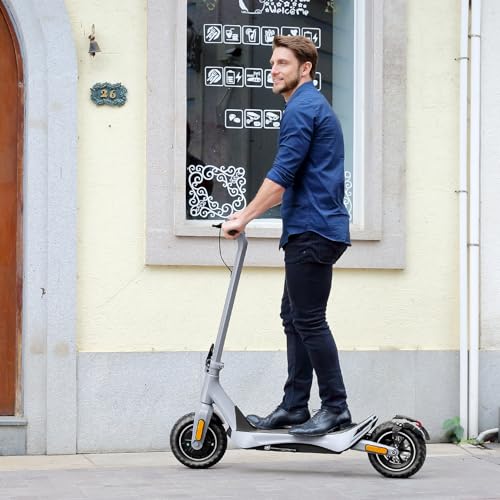 Folding Electric Scooter with 850W Motor F28185