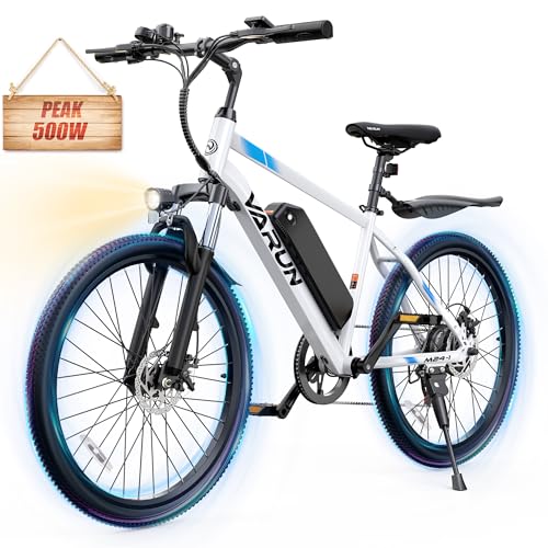 Electric Bike 350W 36V Removable Battery 24'' Mountain Bike H116911
