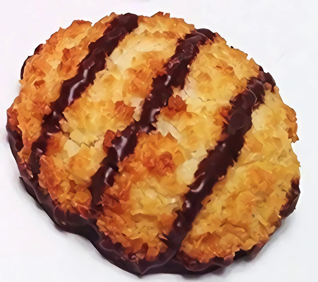 Gluten Free Chocolate Coconut Macaroon Cookies 1.4 Oz 24 Pack G39183