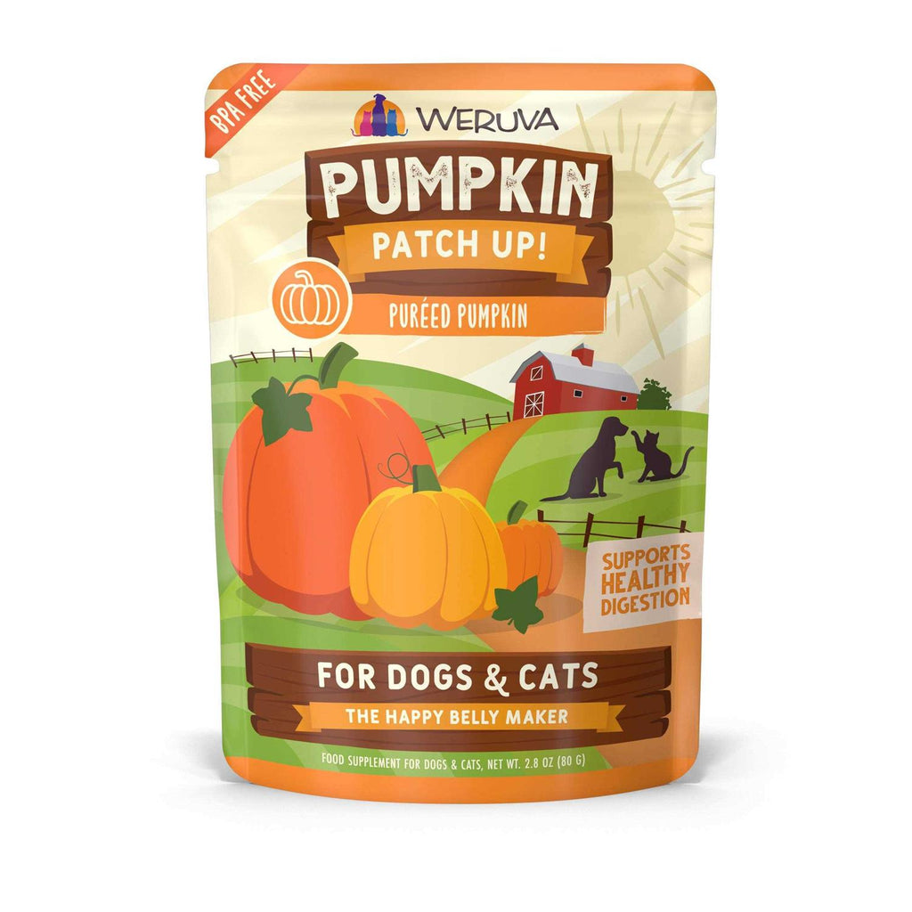 Pumpkin Patch Up Pet Supplies N17612