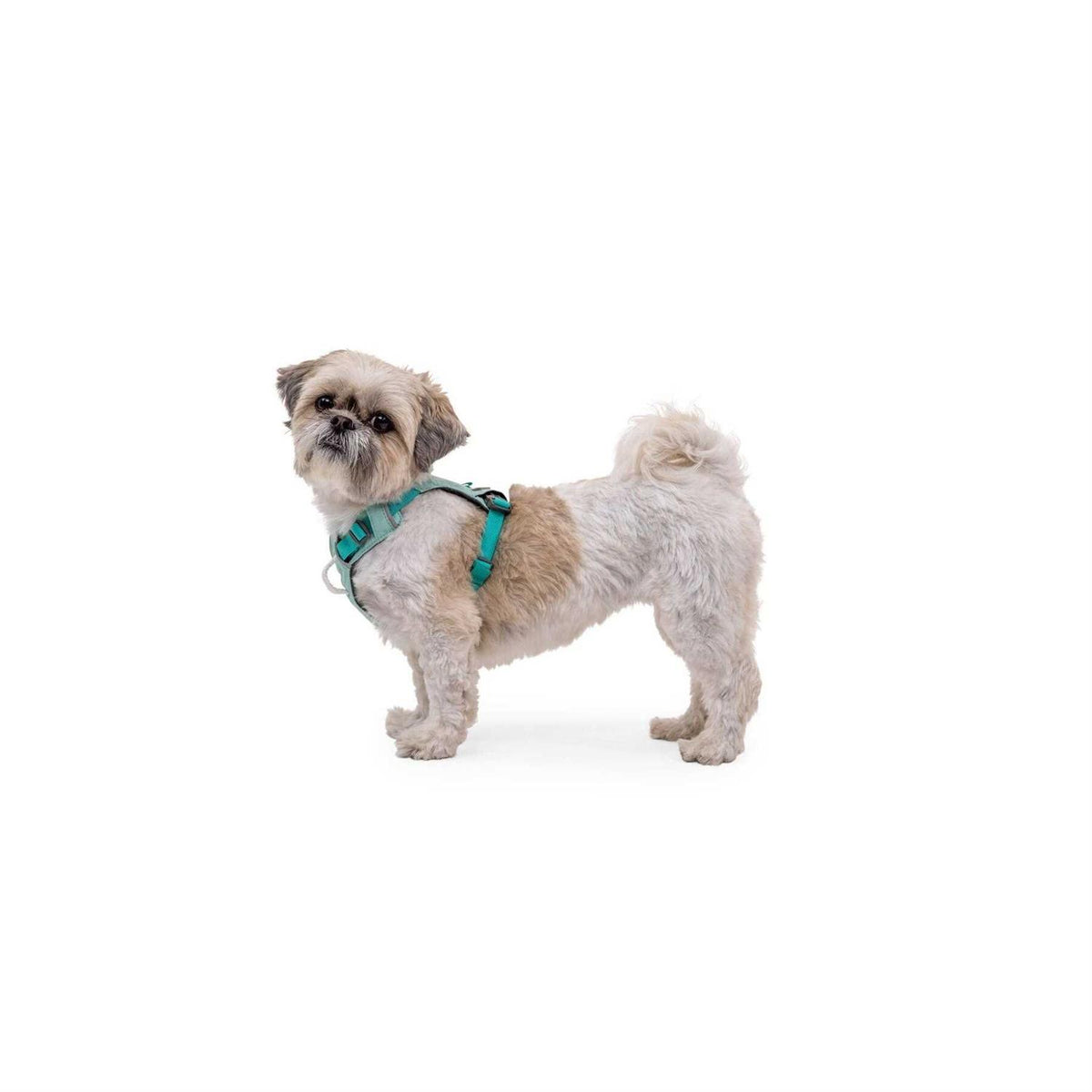 Hi & Light Dog Harness U97925