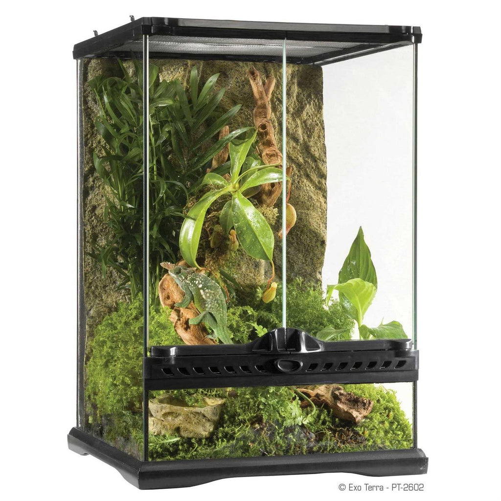 Glass Terrarium N342071