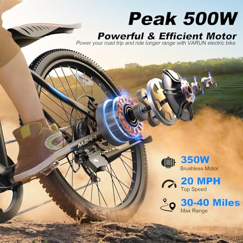 Electric Bike 350W 36V Removable Battery 24'' Mountain Bike H116911